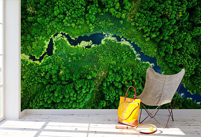 Fototapeta Rainforest 1220